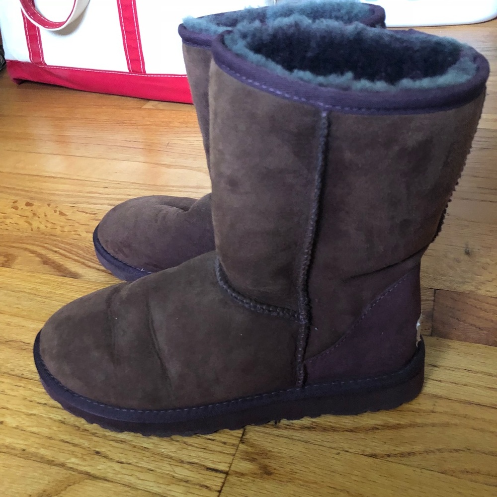 Ugg Classic Purple